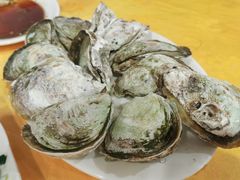 -蚝专家(北滘店)