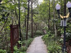 -句容茅山景区