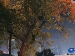 -大连市第二十四中学