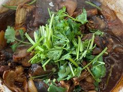 甲鱼-小乐荟私房菜(宁海里店)