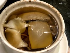 花胶椰青炖鸡-新兴·金羊座·粤菜点心(乐峰店)