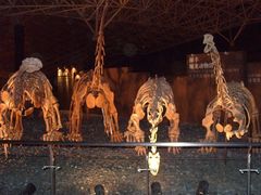 -世界恐龙谷景区