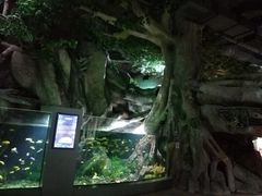 -福州罗源湾海洋世界旅游区