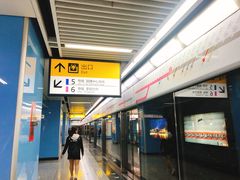 -大龙山(地铁站)