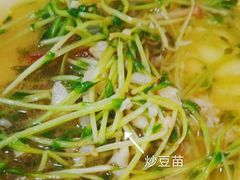 炒豆苗-蜀都餐厅(凤池店)