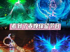 -重庆国际马戏城