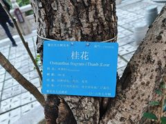 -鼎湖山风景区