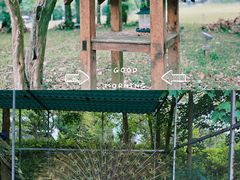 -福建鲤鱼洲酒店