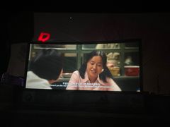 -枫花园汽车电影院(朝阳公园店)