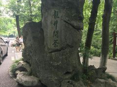 -龙井村