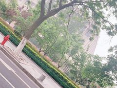 -青岛市图书馆