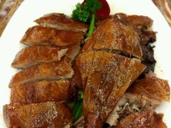 -椿记烧鹅(叠彩店)