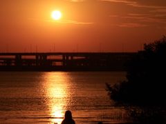 -宝安西湾红树林湿地公园