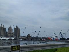 -星海广场