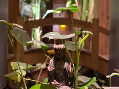 -邈墨茶馆(凤起路店)