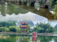 -靖西鹅泉风景区