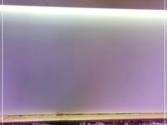 -LINLEE林里·手打柠檬茶(黄浦茂名南路店)