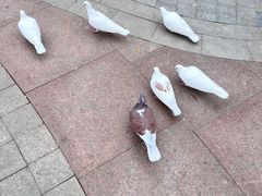 -中粮·祥云小镇