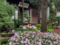 -惠山古镇·寄畅园