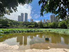 -龙头寺公园