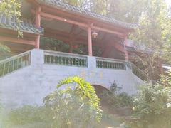 -广州神农草堂中医药博物馆