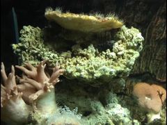 -北戴河圣蓝海洋公园