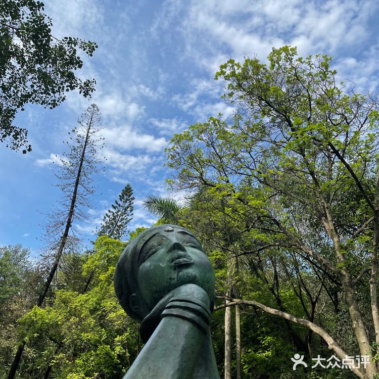 广州白云山桑拿之旅