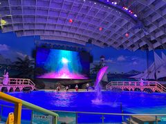 -海合安武汉极地海洋公园