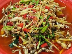 仔姜烧奇猫儿-拈一筷子·宜宾江湖菜(十一街店)