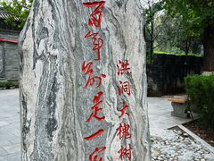 -大槐树寻根祭祖园