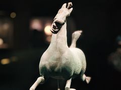 -甘肃省博物馆
