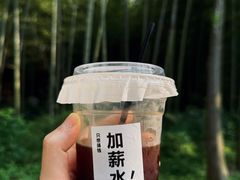 -同里国家湿地公园