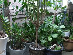 -御泉足浴SPA养生会所