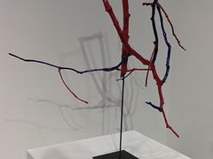 -香港会议展览中心演讲厅