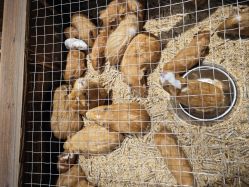 -酷嗒动物文化乐园(cutezoo西溪乐天城店)