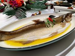 招牌鸡油大白丝-同庆楼(金宝汇店)