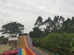 -光明小镇欢乐田园