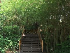 -南诏风情岛