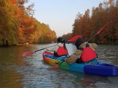-上海海湾国家森林公园