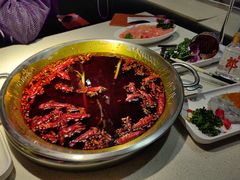 -小龙坎火锅(春熙太古里店)