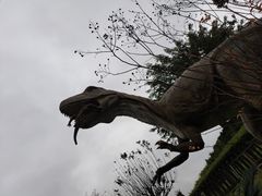 -自贡恐龙博物馆