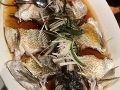 清蒸翘嘴白鱼-丹江渔村(首都机场店)