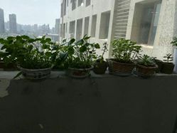 -HG美发设计沙龙