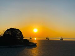 -贡湖湾湿地公园