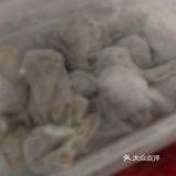 城市向导官#今天外卖吃点啥这家轻食店值得推荐！