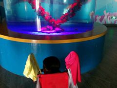 -北戴河圣蓝海洋公园