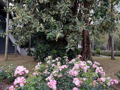 -人民公园(罗湖区)