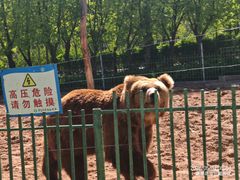 -秦皇岛野生动物园