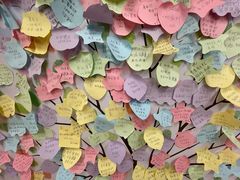 -首都医科大学附属北京天坛医院