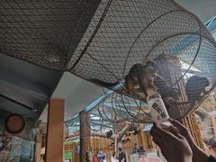 -石家庄市动物园